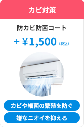 カビ対策